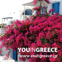 banner_11_125x125